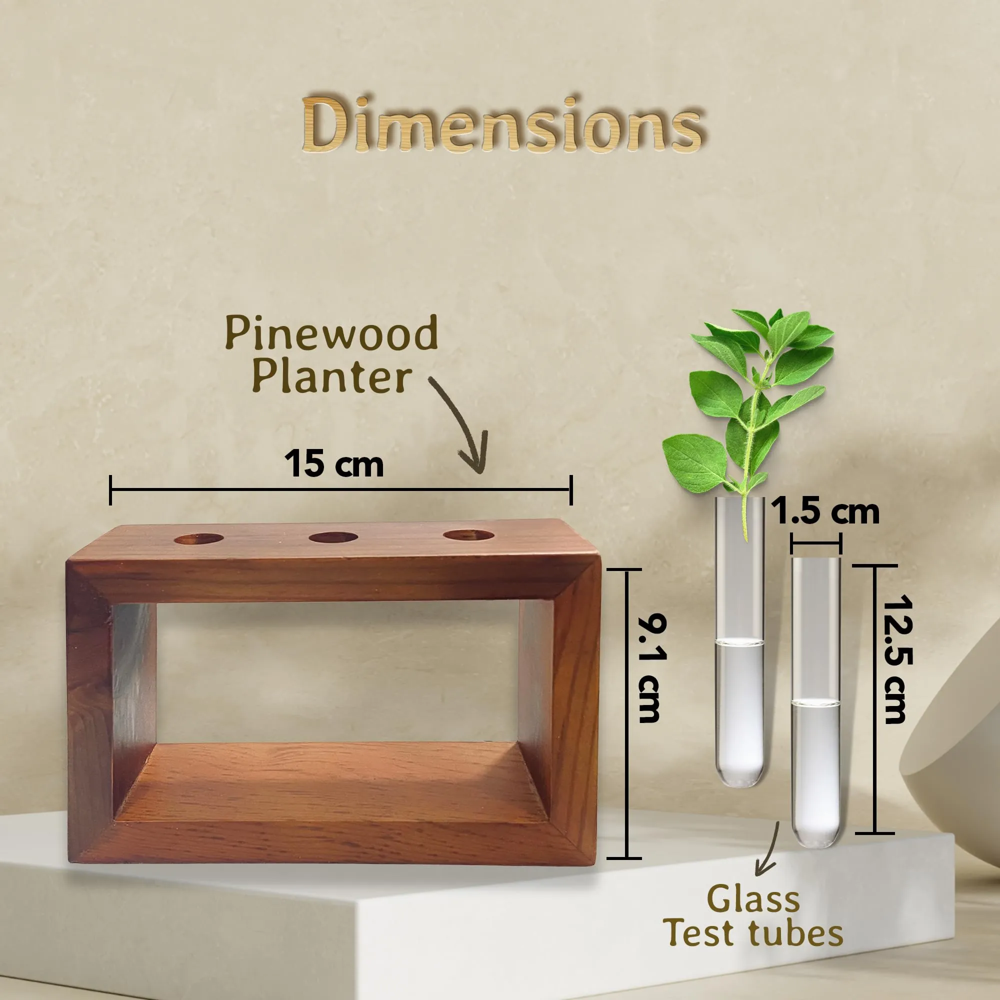 Bombay Greens Test Tube Planter for Home Decor | Wooden Plant Stand for Living Room | Money Plant Propagation | Eco Friendly Planter for Office | Planter with Test Tube and Wooden Stand