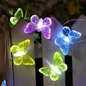 Butterfly Lights