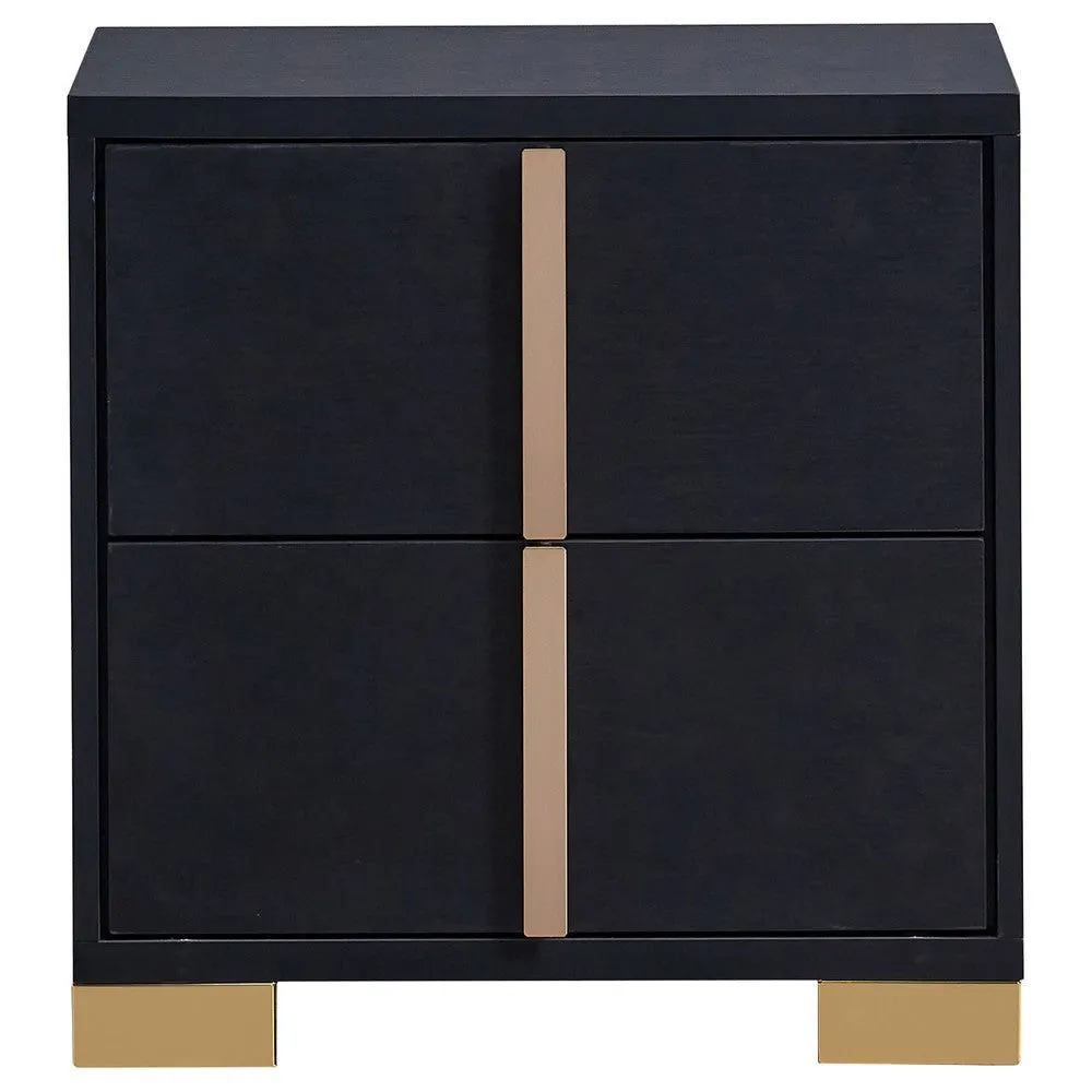 Dex 22 Inch Nightstand, 2 Drawers with Long Vertical Gold Handles, Black By Casagear Home