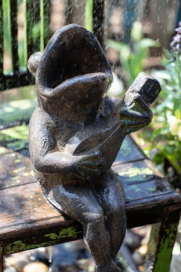 Garden Animal Statues, Unique Modern Garden Sculptures, Frog Flowerpot for Garden Decoration, Beautiful Cute Frog Statues, Creative Villa Outdoor Gardening Ideas