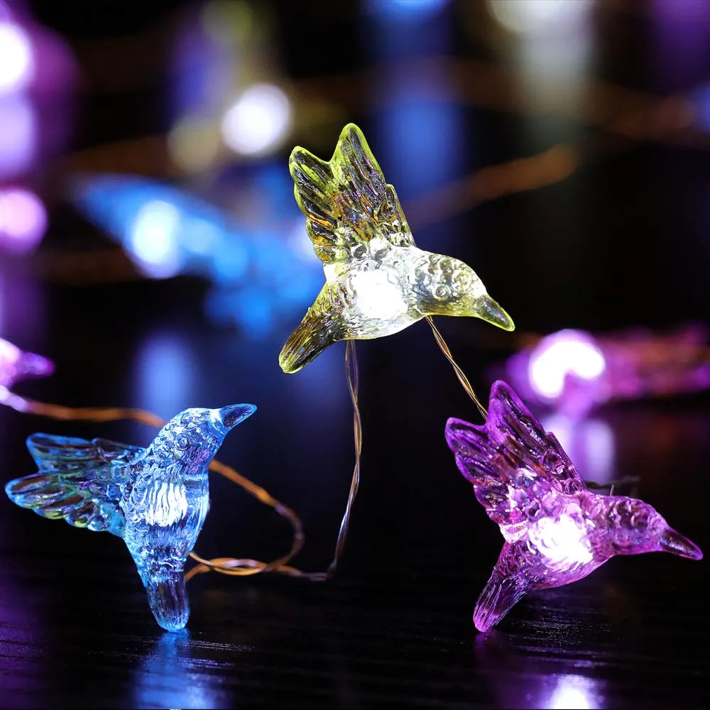 Humming Bird Lights