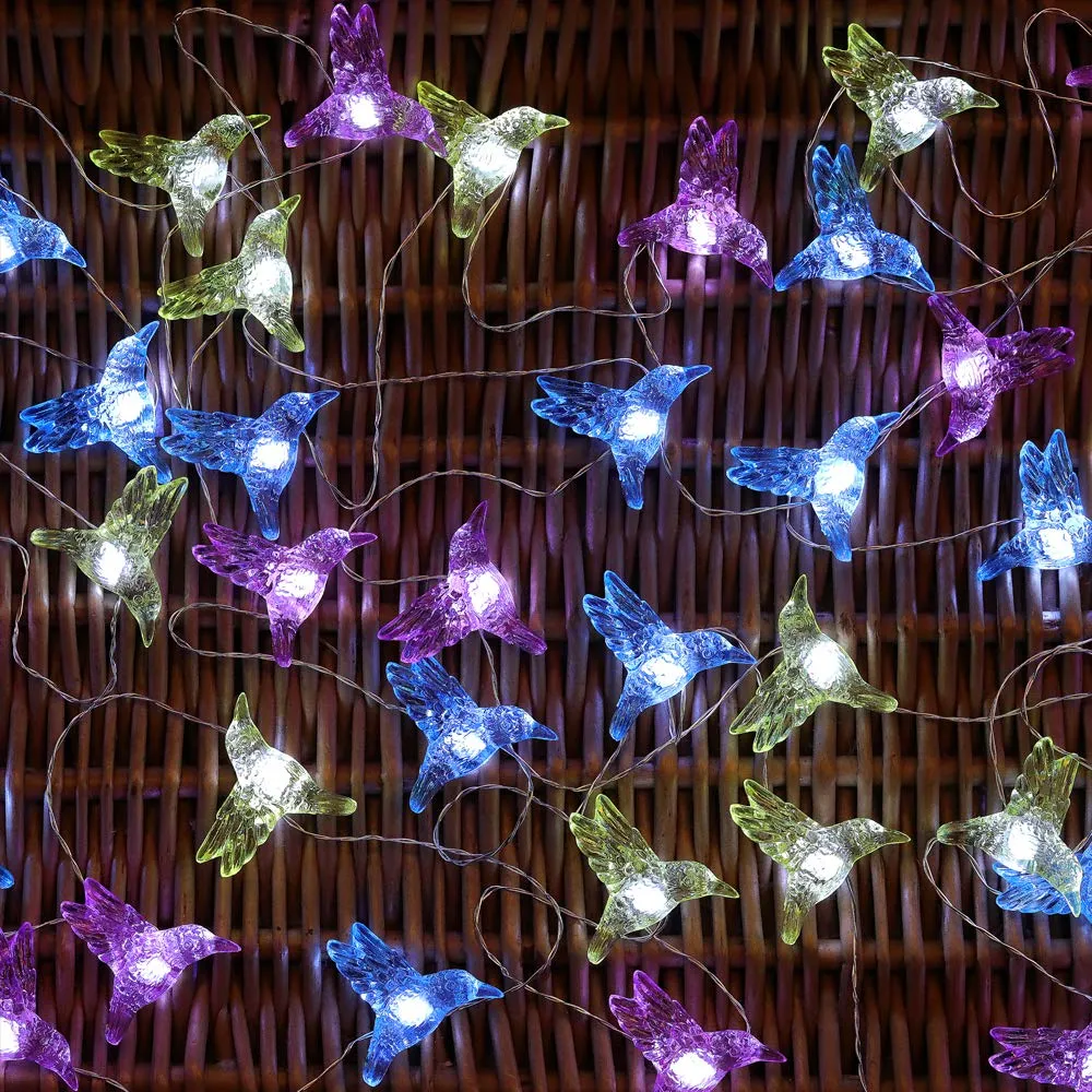 Humming Bird Lights