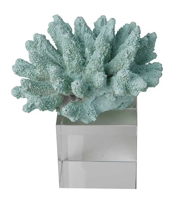 Sea Shell Coral - Mint