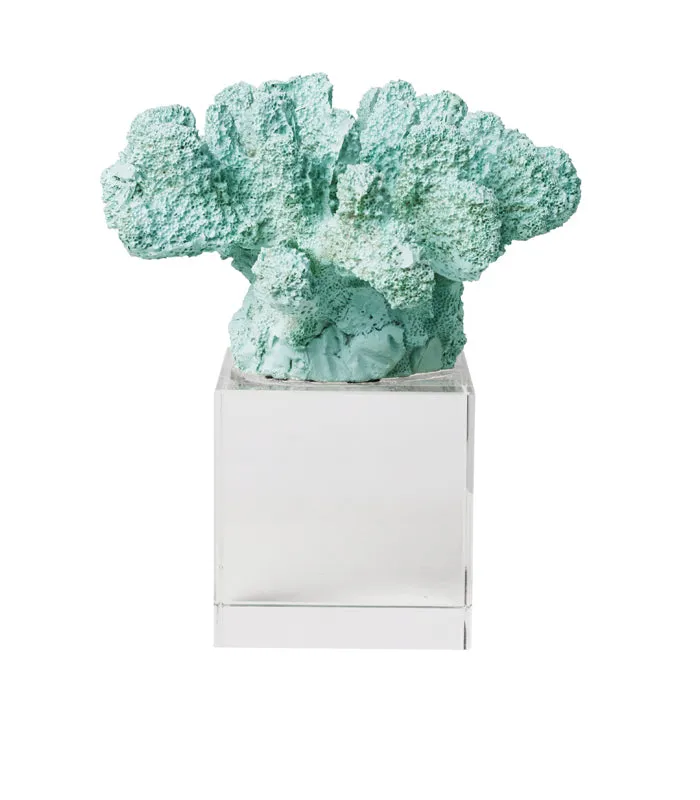 Sea Shell Coral - Mint